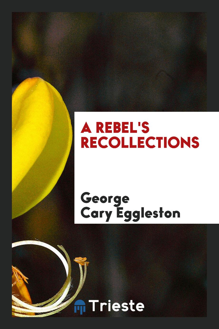 A rebel's recollections