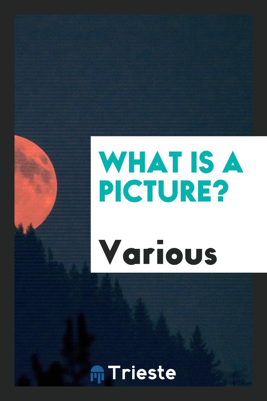 What is a Picture?