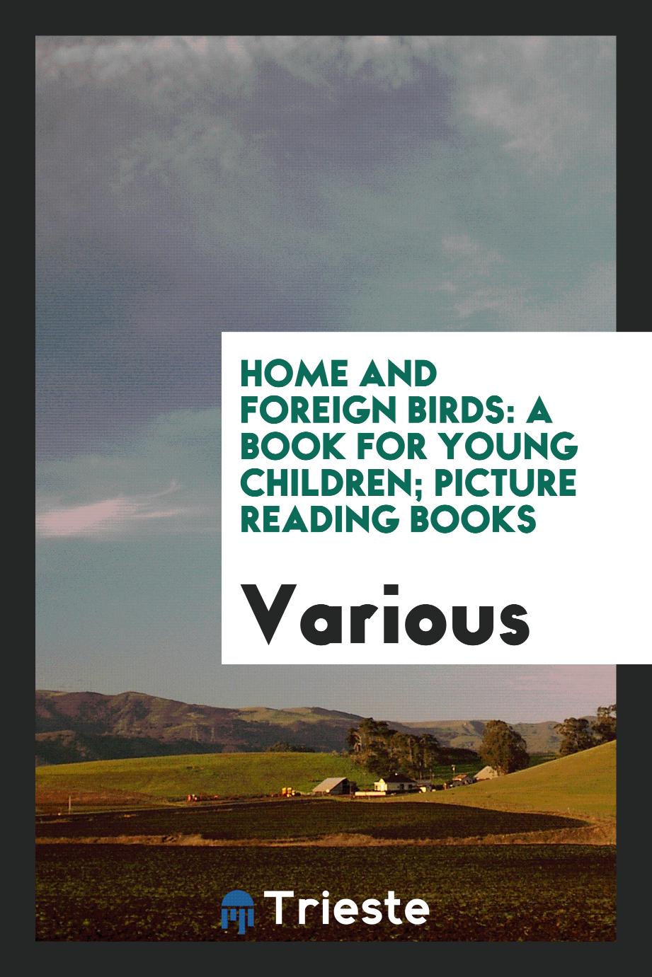 Home and Foreign Birds: A Book for Young Children; Picture reading books