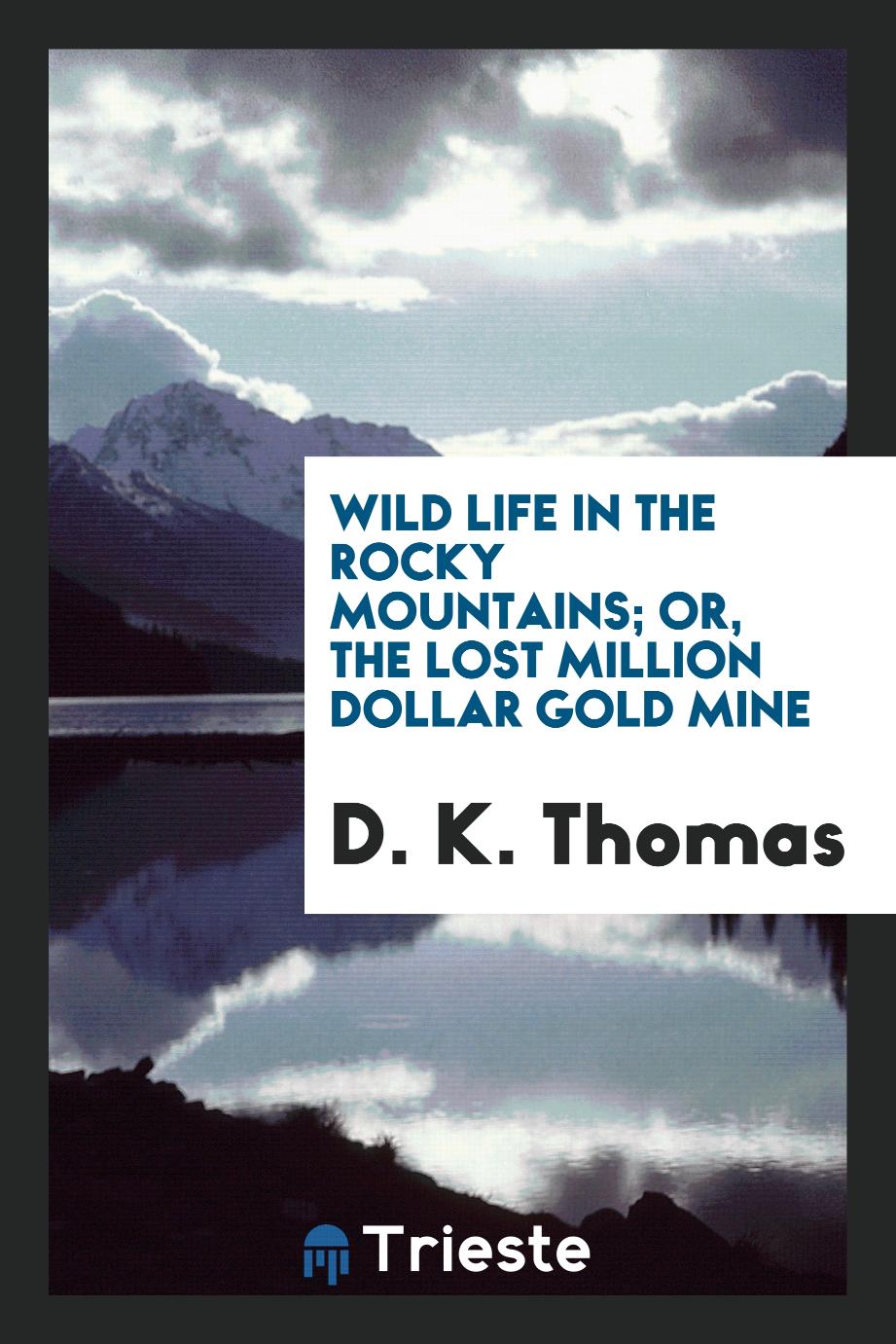 Wild life in the Rocky Mountains; or, The lost million dollar gold mine