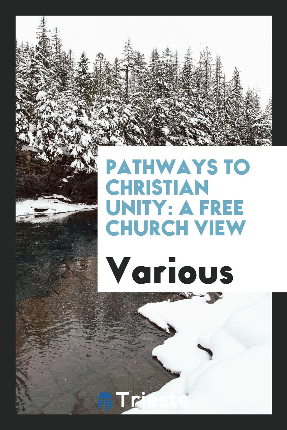 Pathways to Christian unity: a Free Church view