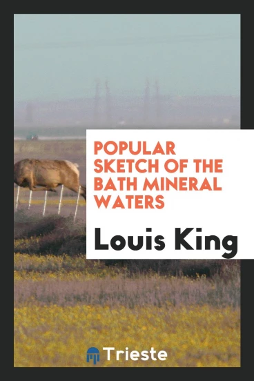 Popular sketch of the Bath mineral waters
