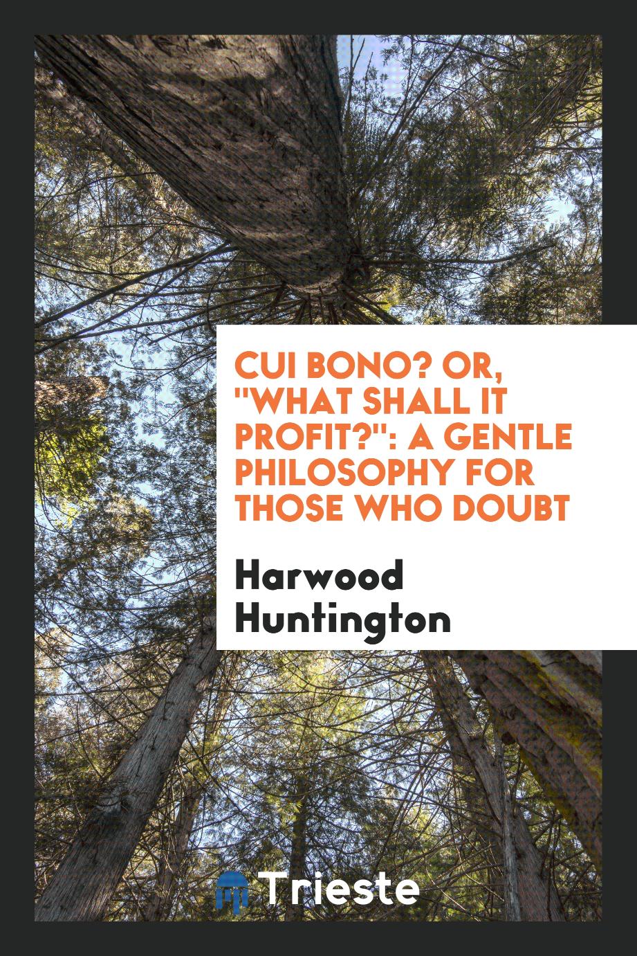Cui Bono? Or, "What Shall It Profit?": A Gentle Philosophy for Those Who Doubt