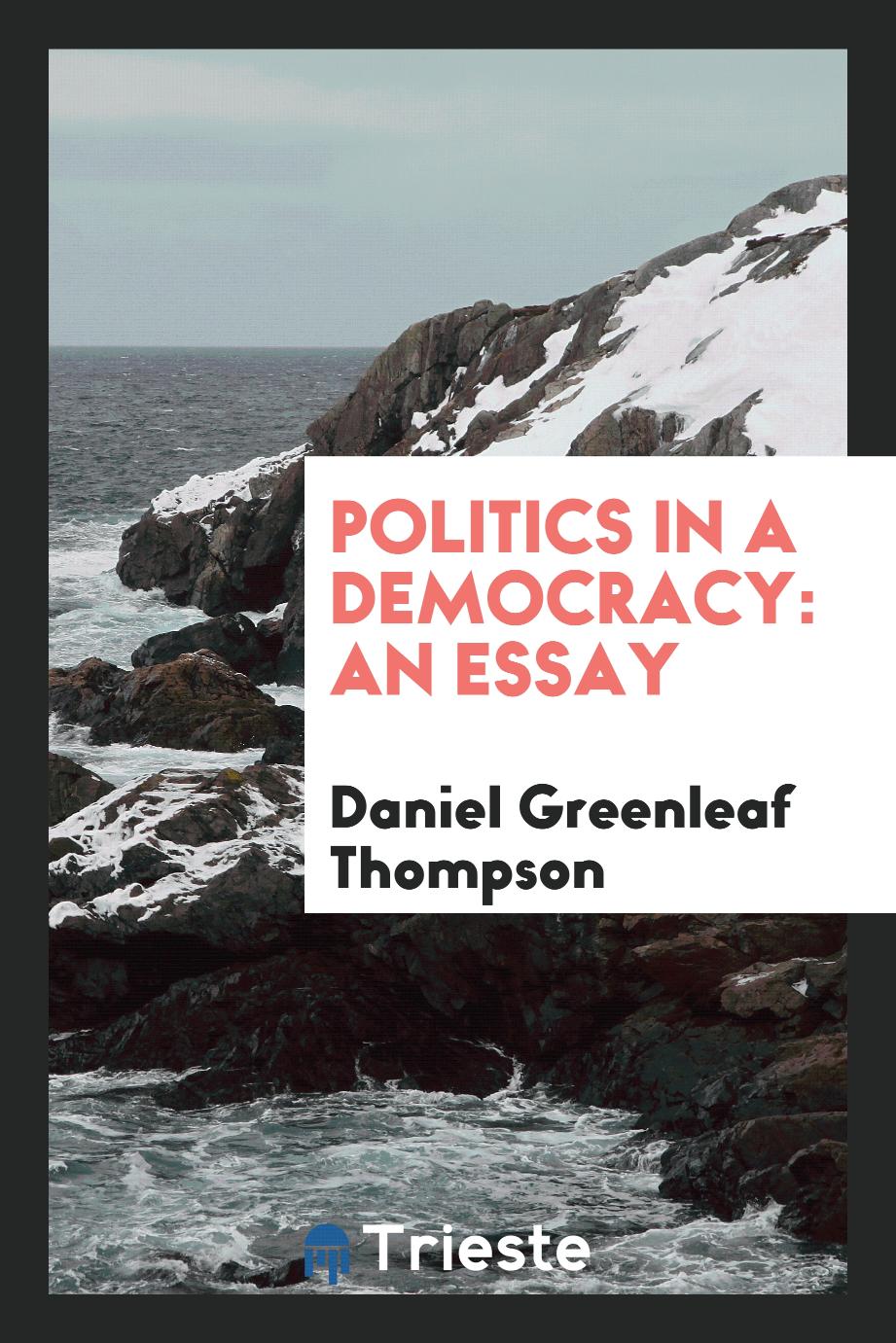 Politics in a Democracy: An Essay