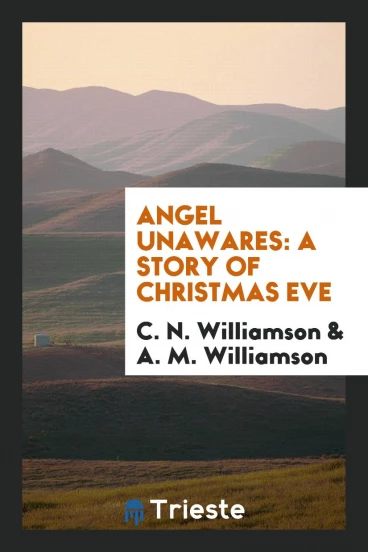 Angel Unawares: A Story of Christmas Eve