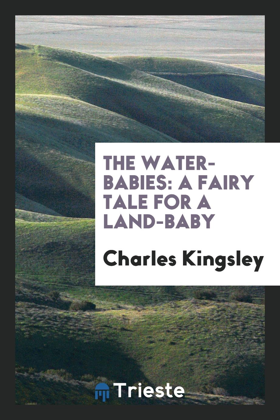 The water-babies: a fairy tale for a land-baby