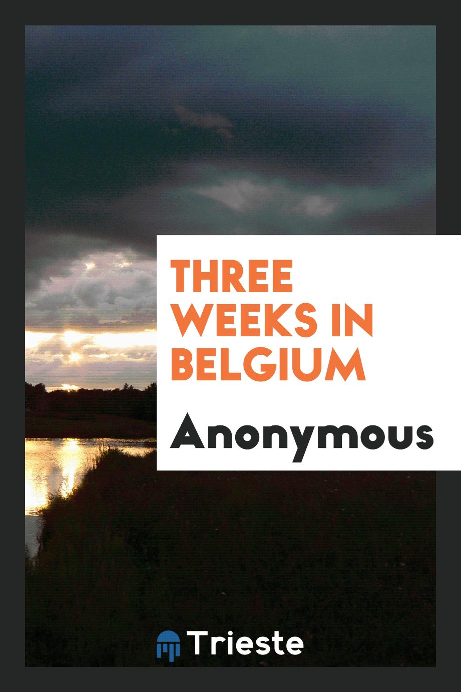 Three weeks in Belgium