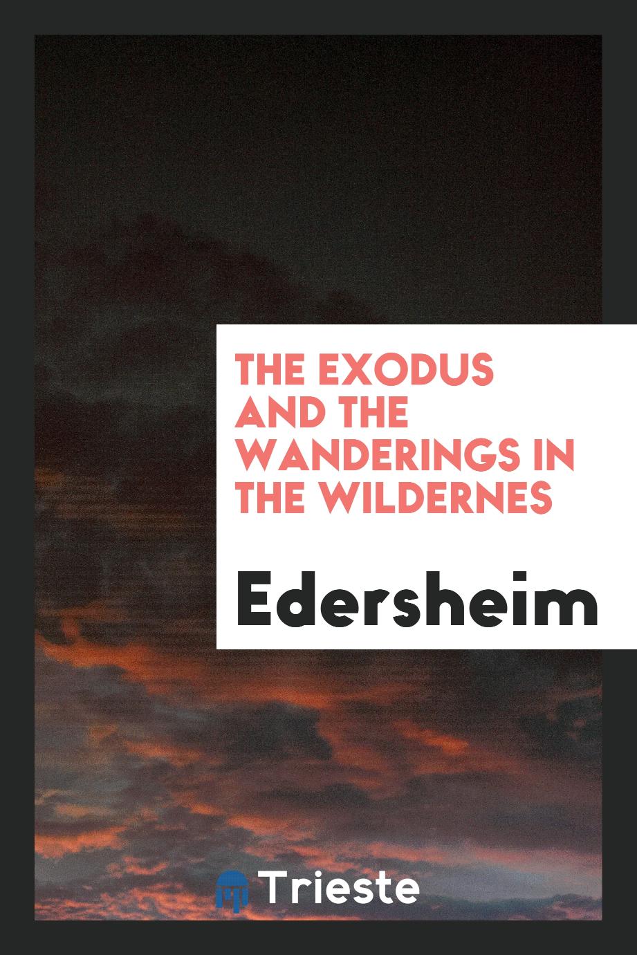 The Exodus and The Wanderings in the Wildernes