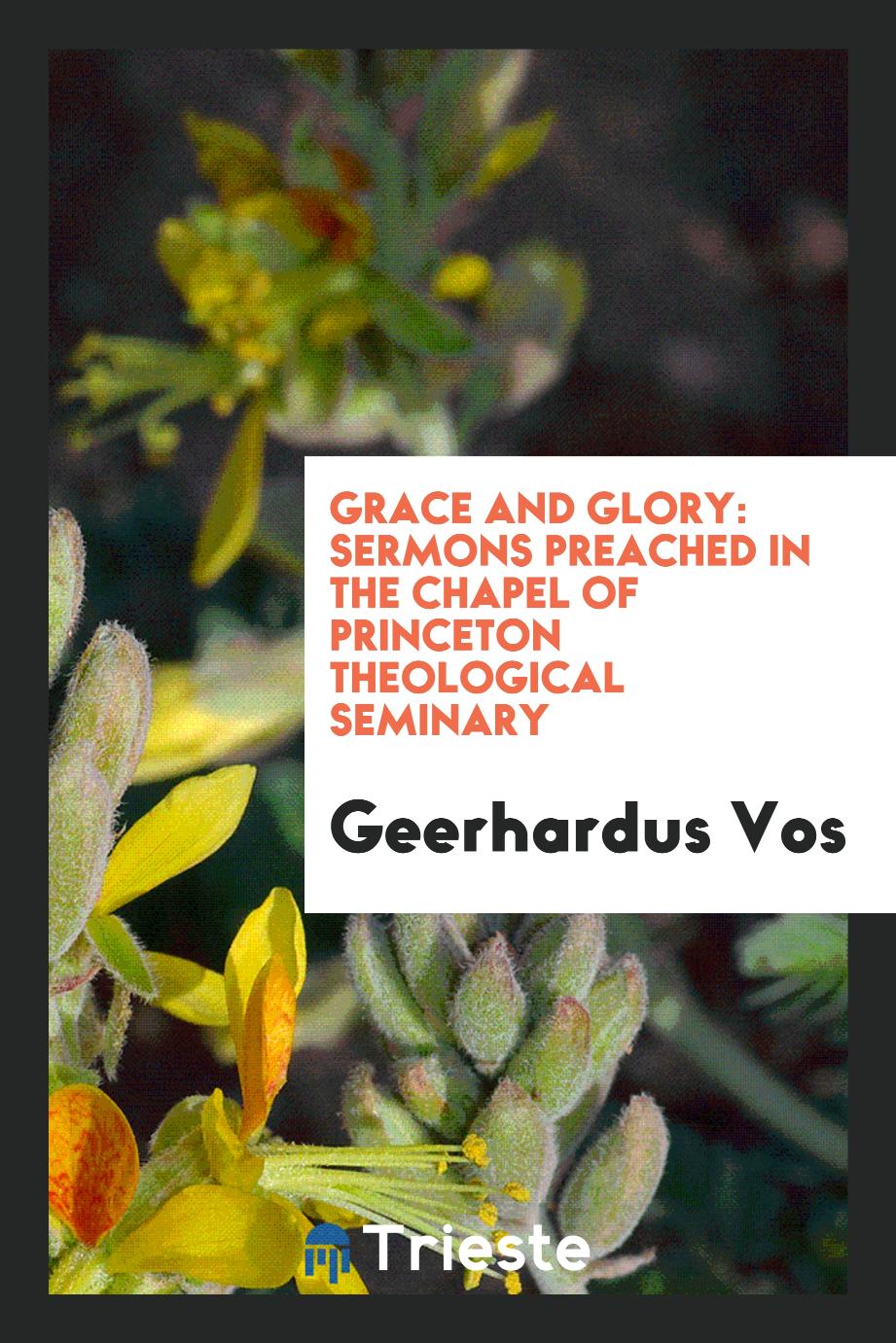 Grace and glory: sermons preached in the chapel of Princeton Theological Seminary