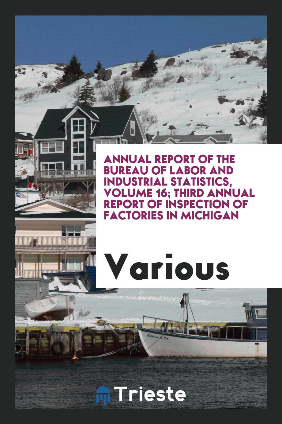 Annual Report of the Bureau of Labor and Industrial Statistics, Volume 16; Third Annual Report of Inspection of Factories in Michigan