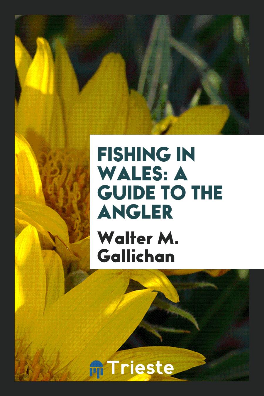 Fishing in Wales: A Guide to the Angler