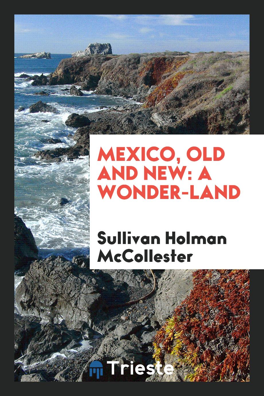 Mexico, old and new: a wonder-land