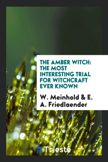 The Amber Witch: The Most Interesting Trial for Witchcraft Ever Known