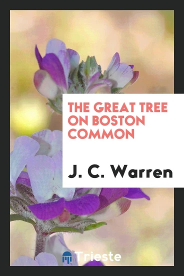 The great tree on Boston Common