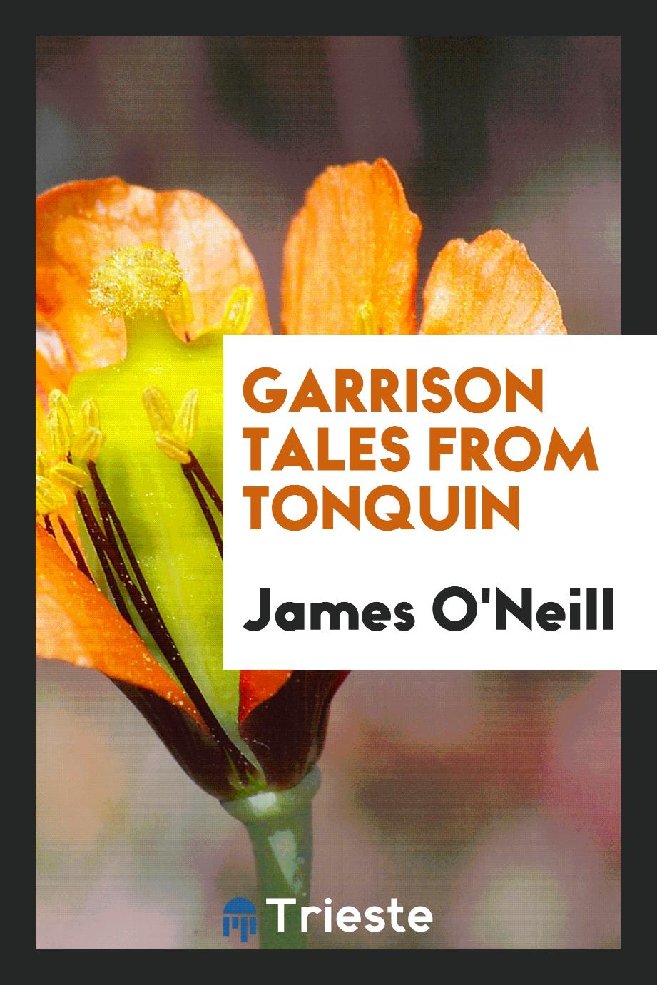 Garrison tales from Tonquin