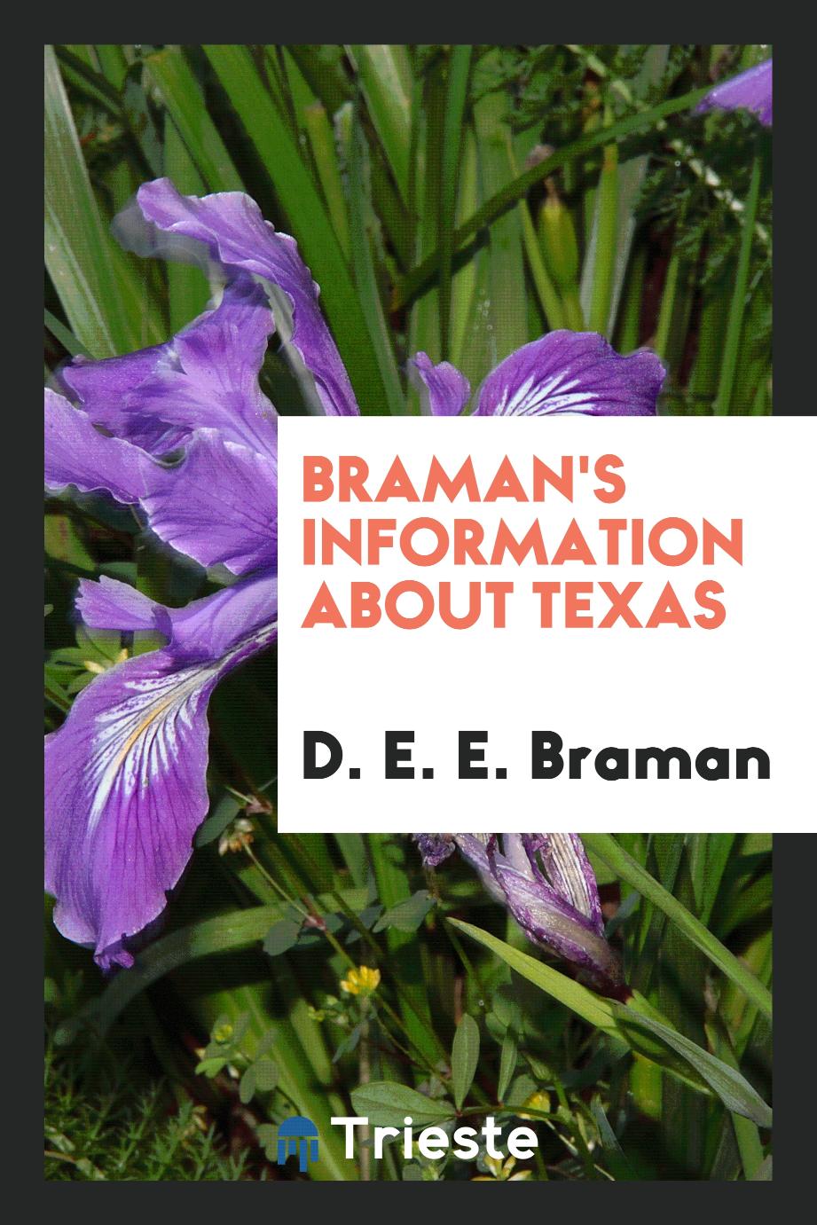 Braman's Information About Texas