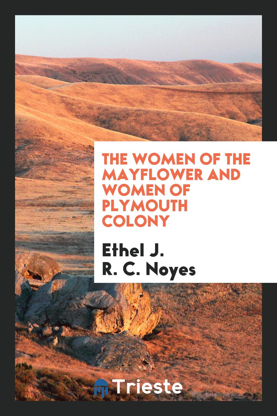 The women of the Mayflower and women of Plymouth colony