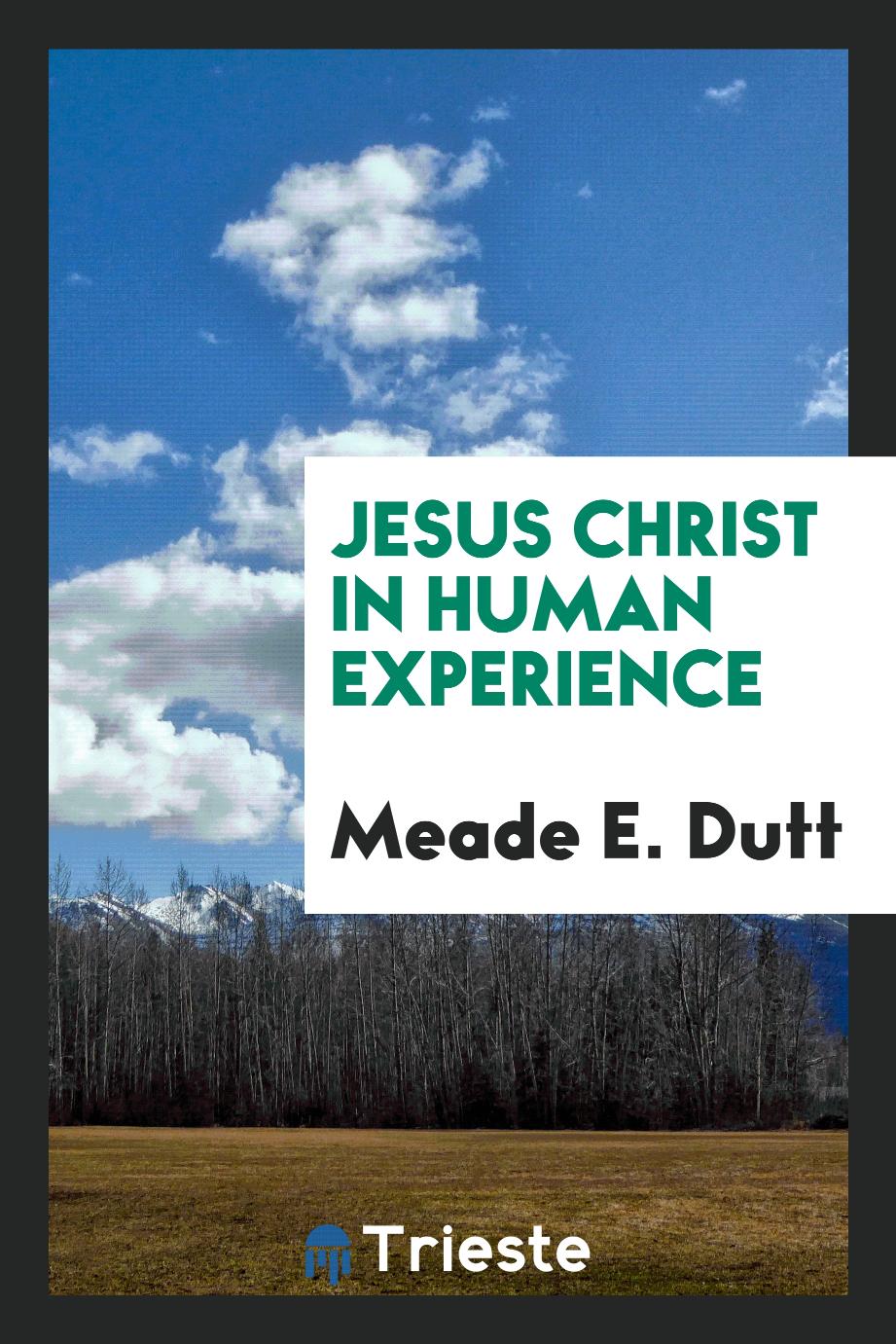 Jesus Christ in human experience