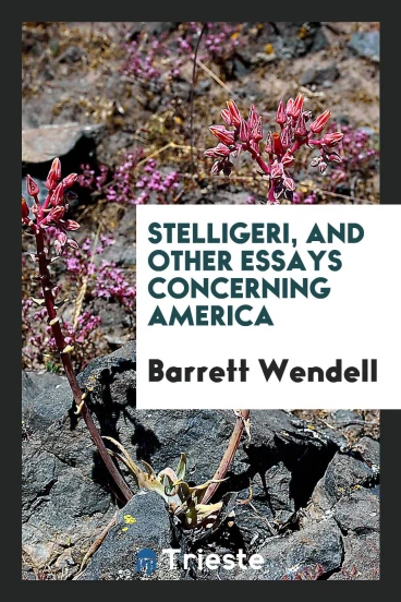 Stelligeri, and other essays concerning America