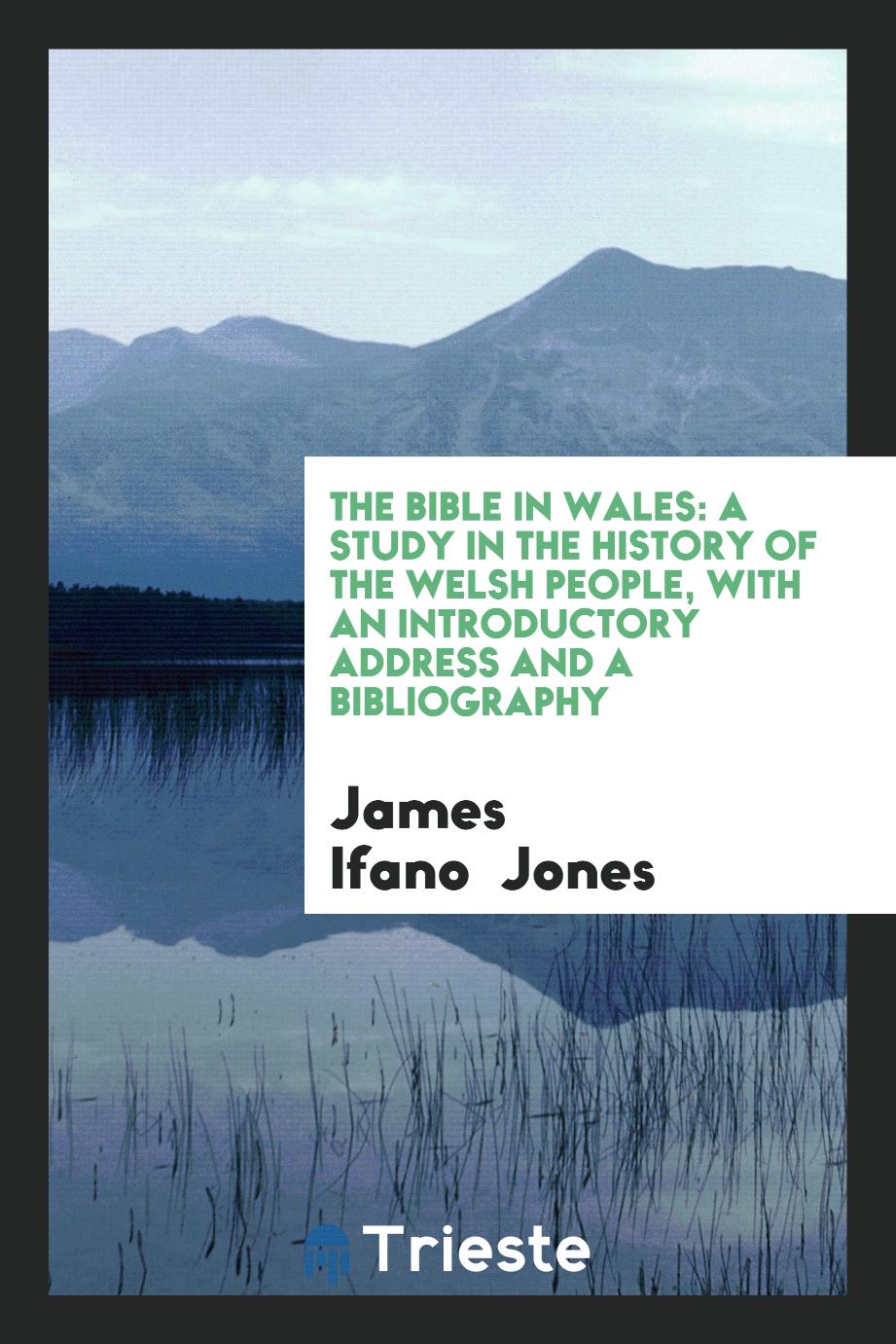 The Bible in Wales: A Study in the History of the Welsh People, with an Introductory Address and a Bibliography