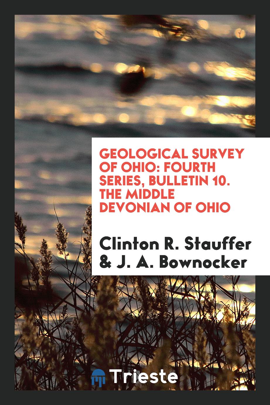 Geological Survey of Ohio: Fourth Series, Bulletin 10. The Middle Devonian of Ohio