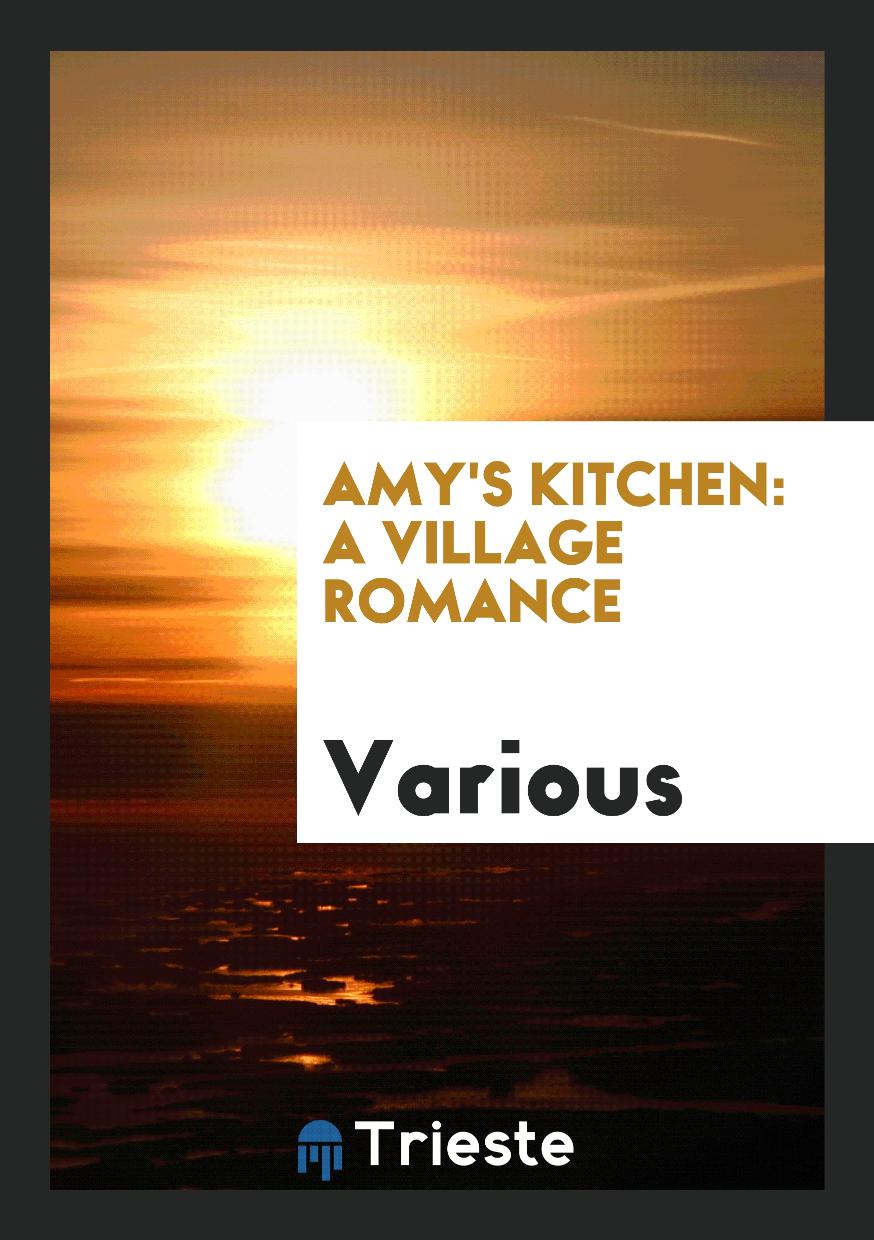 Amy's kitchen: a village romance