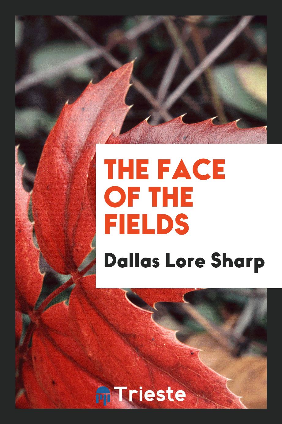 The face of the fields
