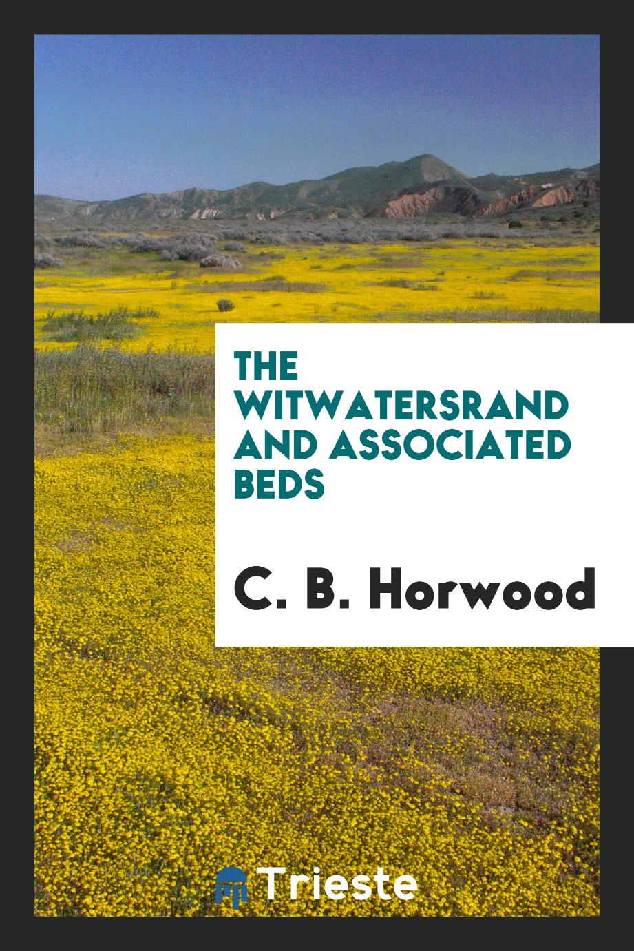 The Witwatersrand and Associated Beds