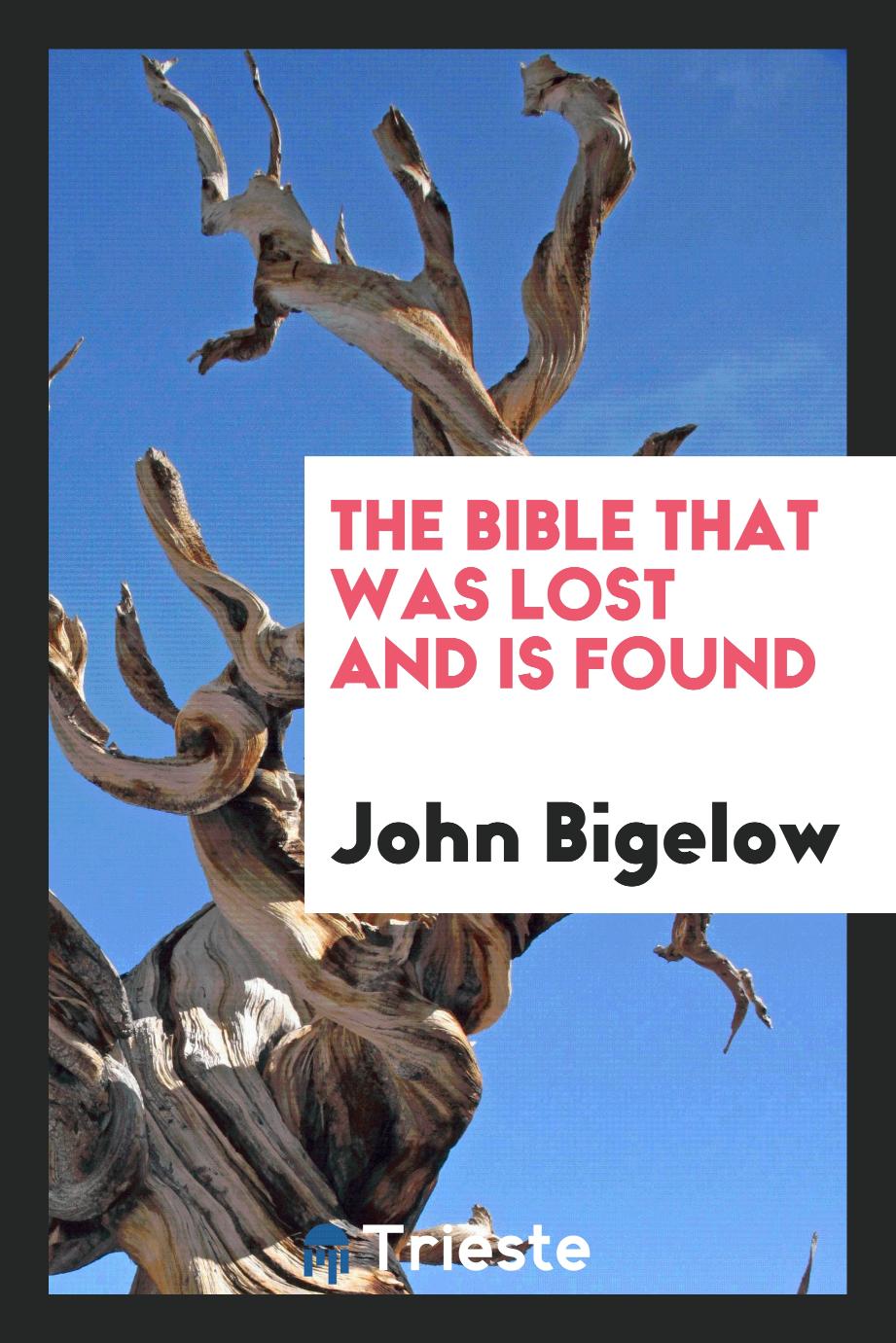The Bible That Was Lost and Is Found