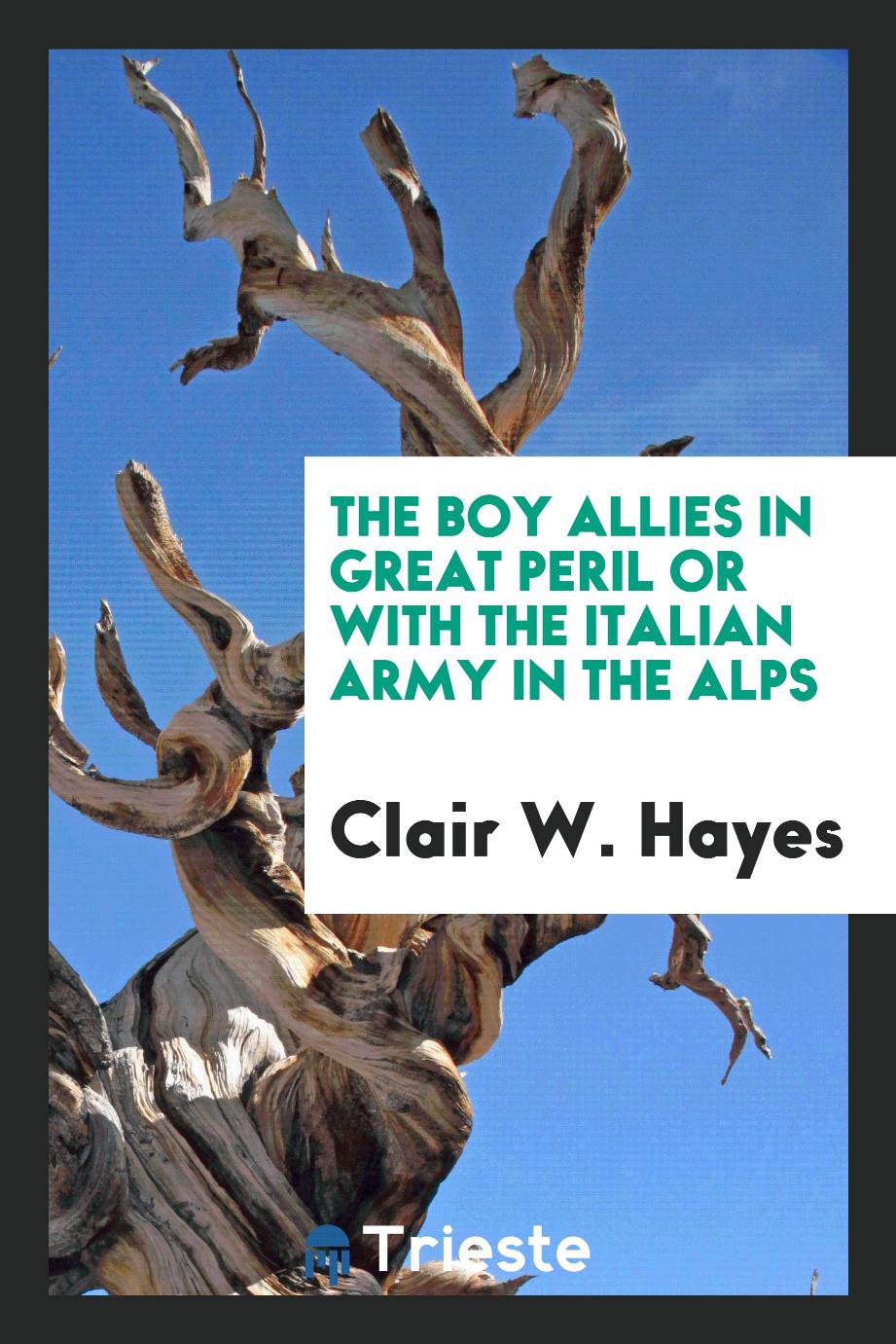 The boy allies in great peril or With the Italian Army in the Alps