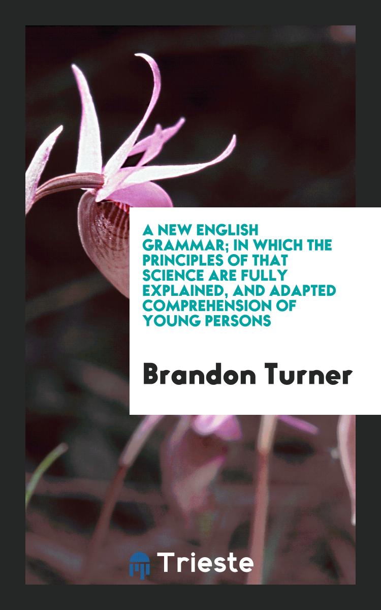 A New English Grammar; In which the Principles of that Science are Fully Explained, and Adapted Comprehension of Young Persons
