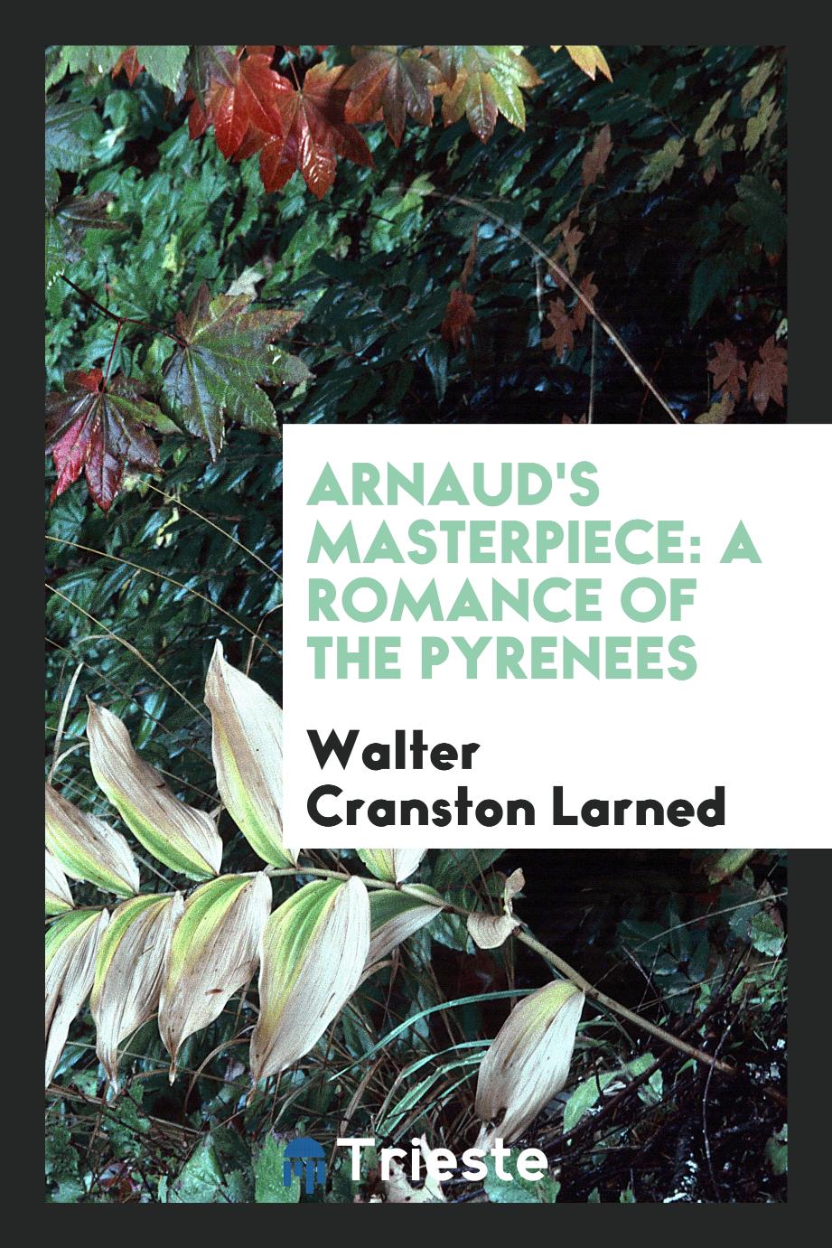 Arnaud's Masterpiece: A Romance of the Pyrenees