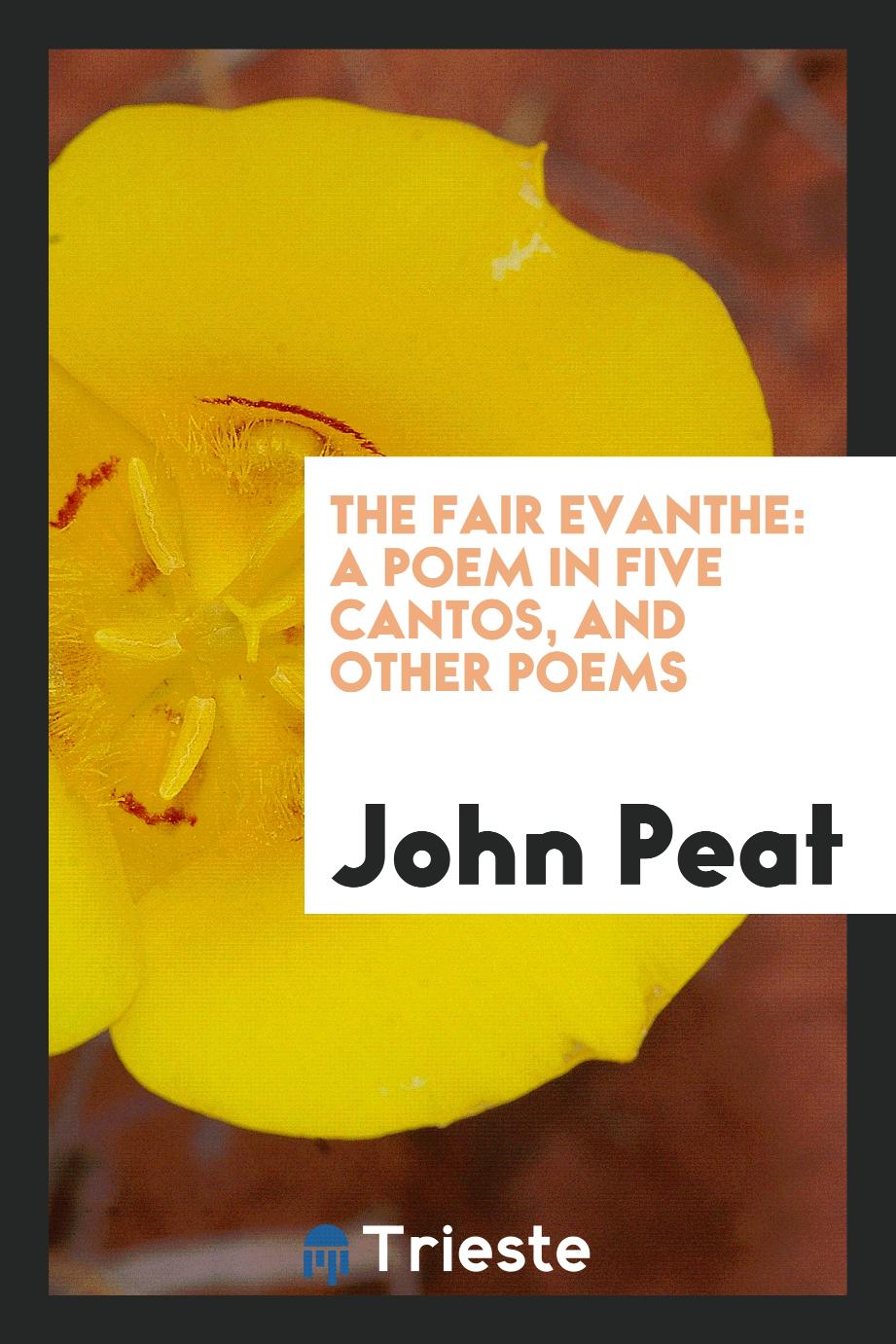 The Fair Evanthe: A Poem in Five Cantos, and Other Poems