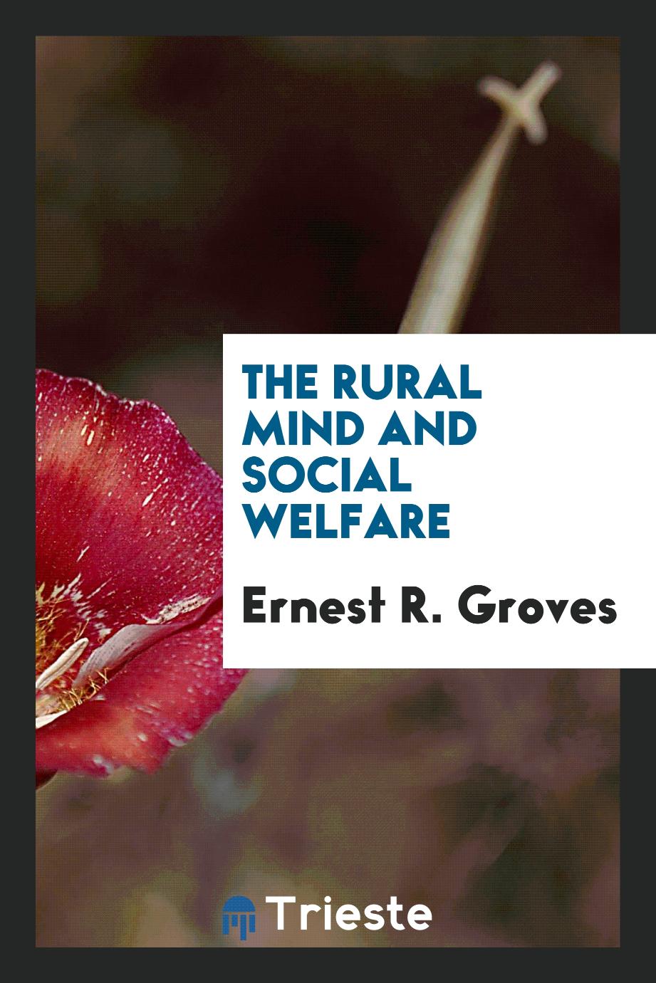 The rural mind and social welfare