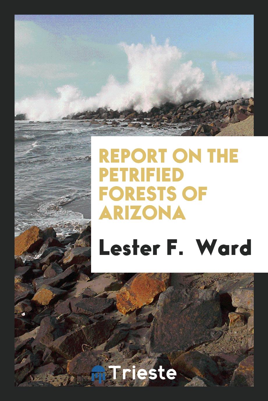 Report on the petrified forests of Arizona