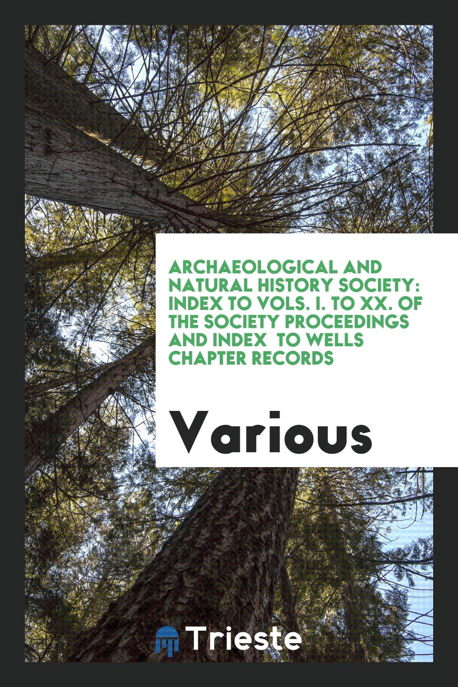 Archaeological and Natural History society: Index to Vols. I. to XX. of the Society proceedings and Index to Wells Chapter Records