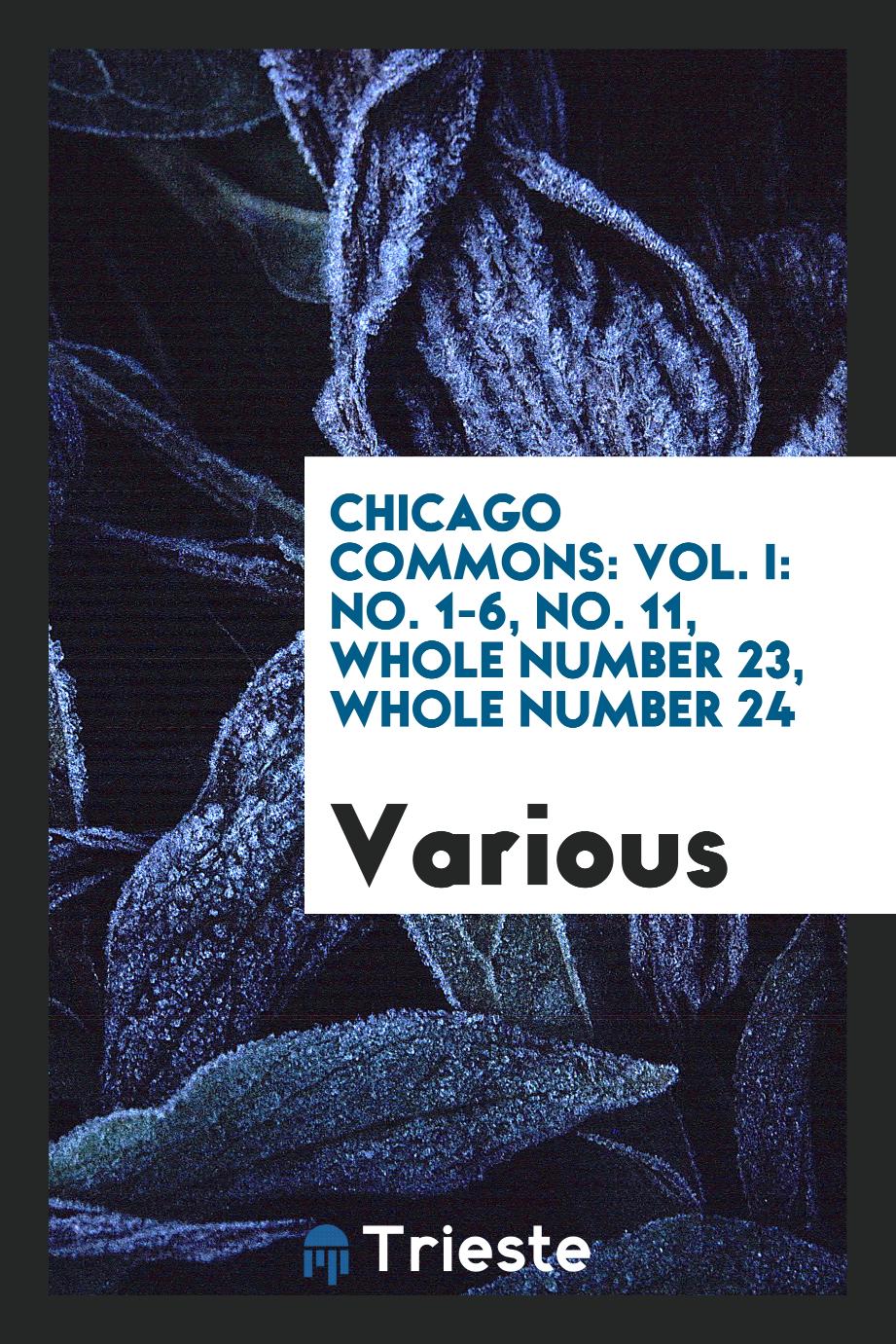 Chicago Commons: Vol. I: No. 1-6, No. 11, Whole Number 23, Whole Number 24