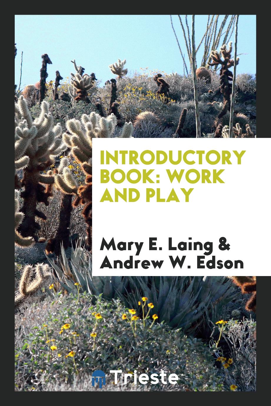 Introductory Book: Work and Play