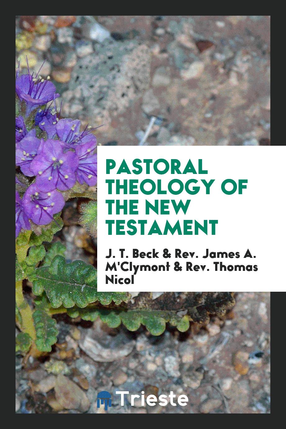 Pastoral Theology of the New Testament