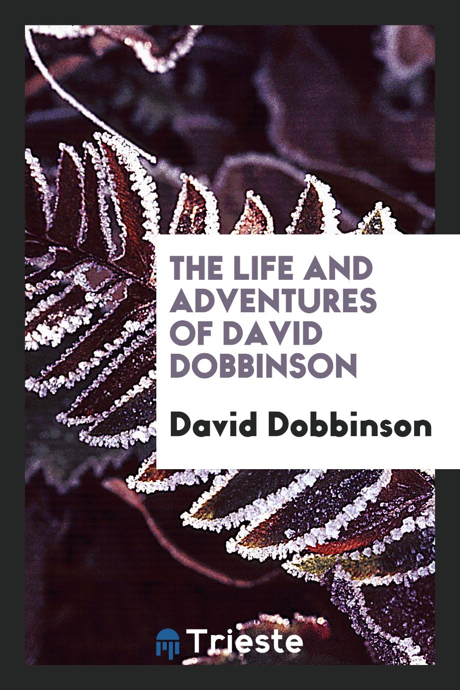 The life and adventures of David Dobbinson