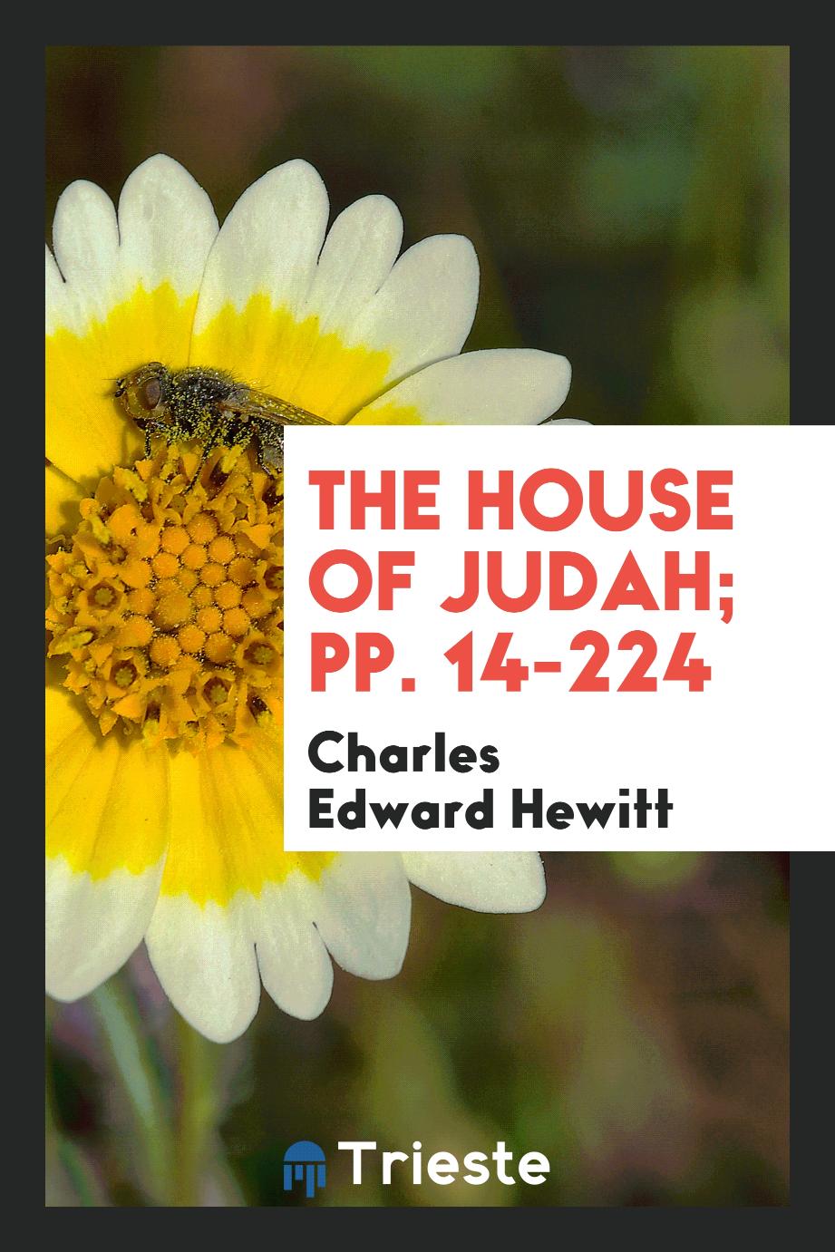 The House of Judah; pp. 14-224
