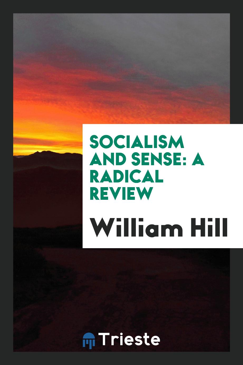 Socialism and sense: a radical review