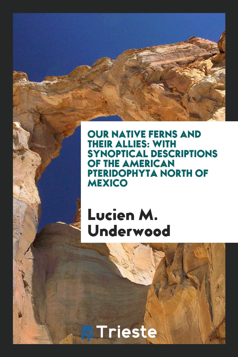 Our Native Ferns and Their Allies: With Synoptical Descriptions of the American Pteridophyta North of Mexico
