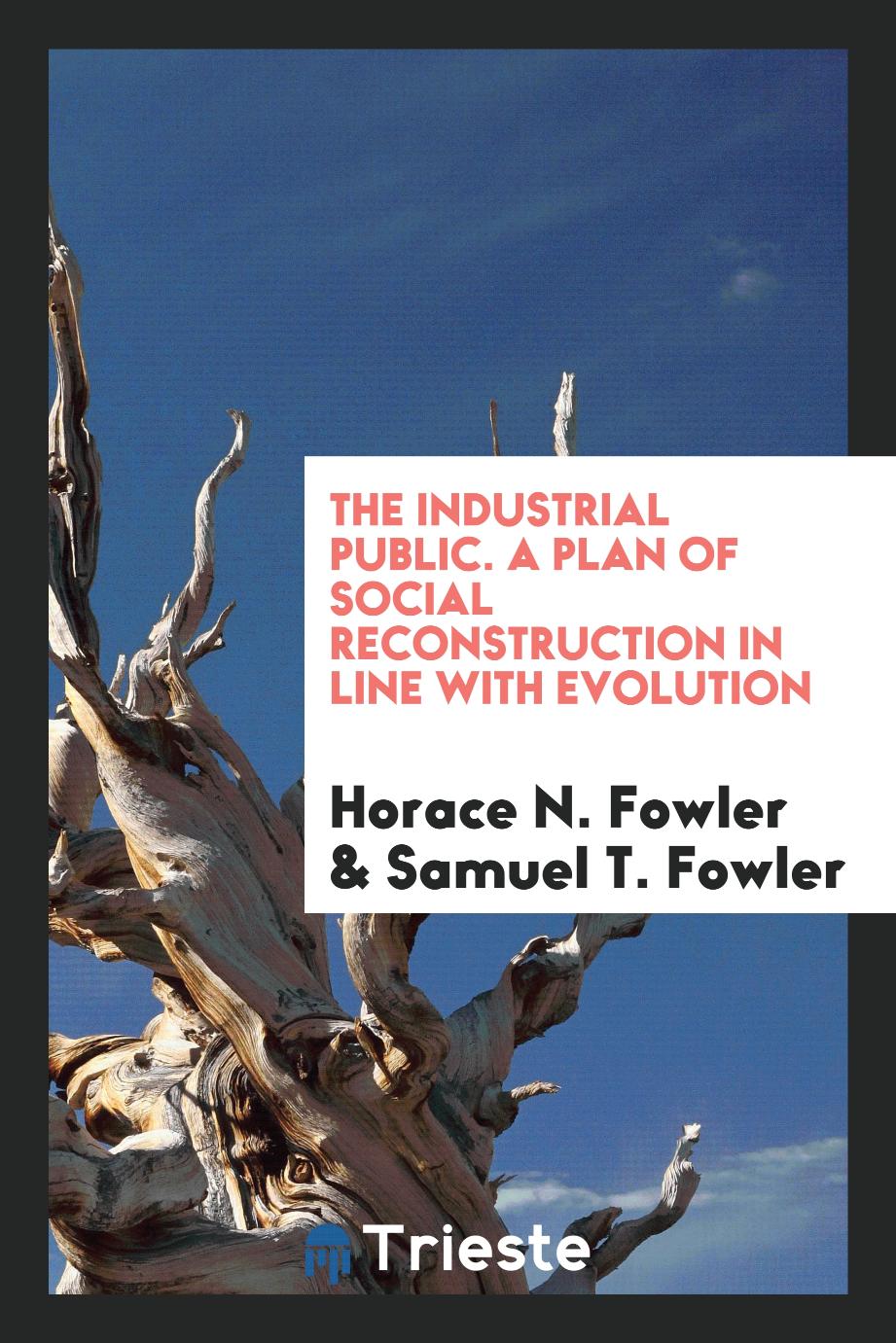 The Industrial Public. A Plan of Social Reconstruction in Line with Evolution