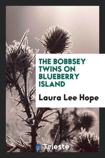 The Bobbsey Twins on Blueberry Island