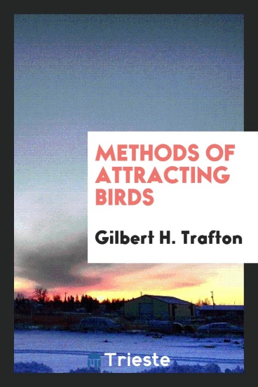 Methods of attracting birds