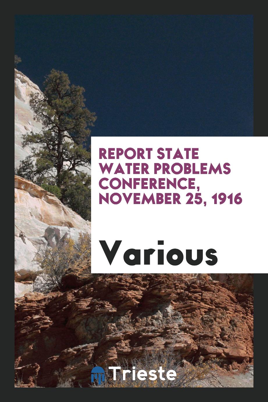 Report State Water Problems Conference, November 25, 1916