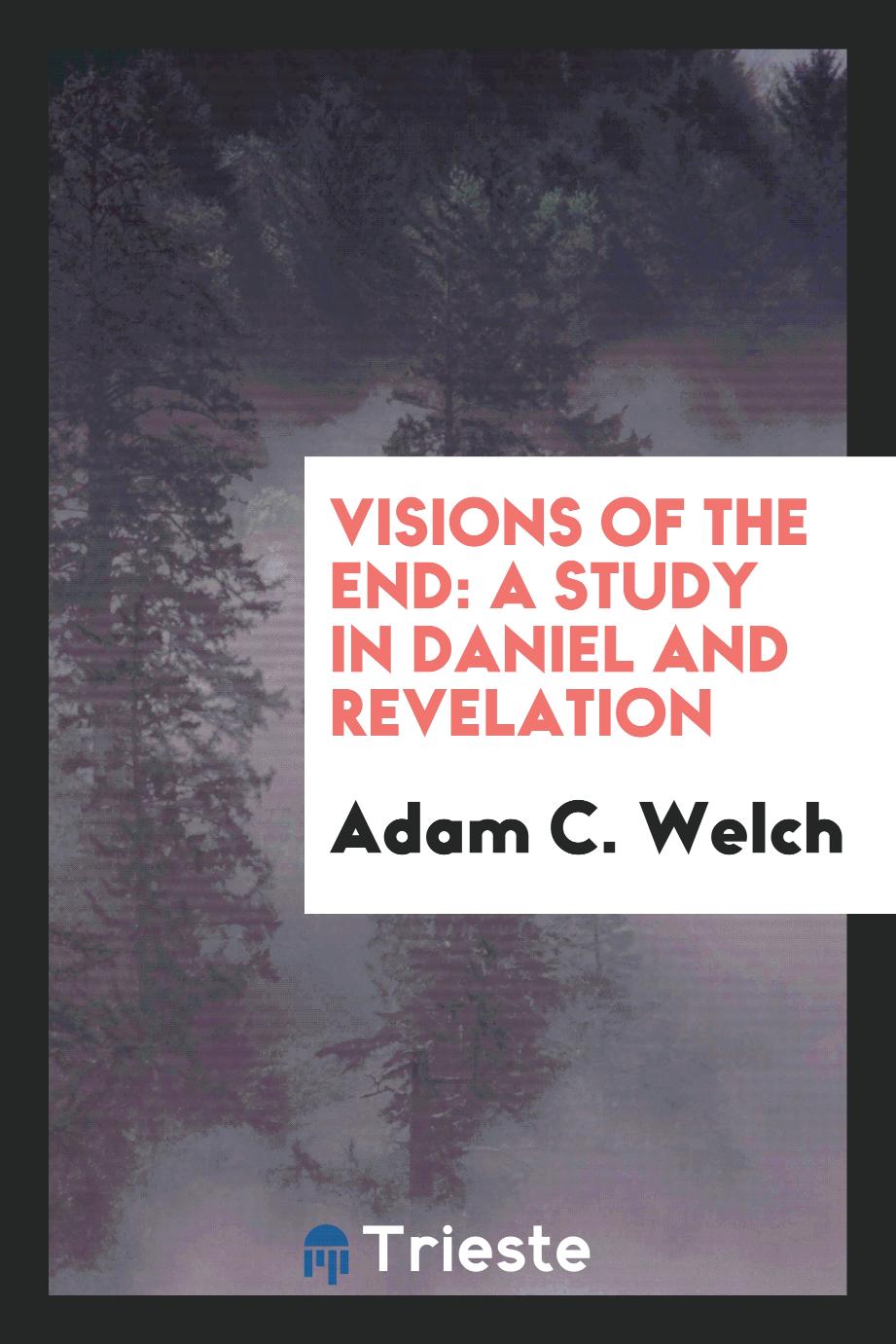 Visions of the end: a study in Daniel and Revelation