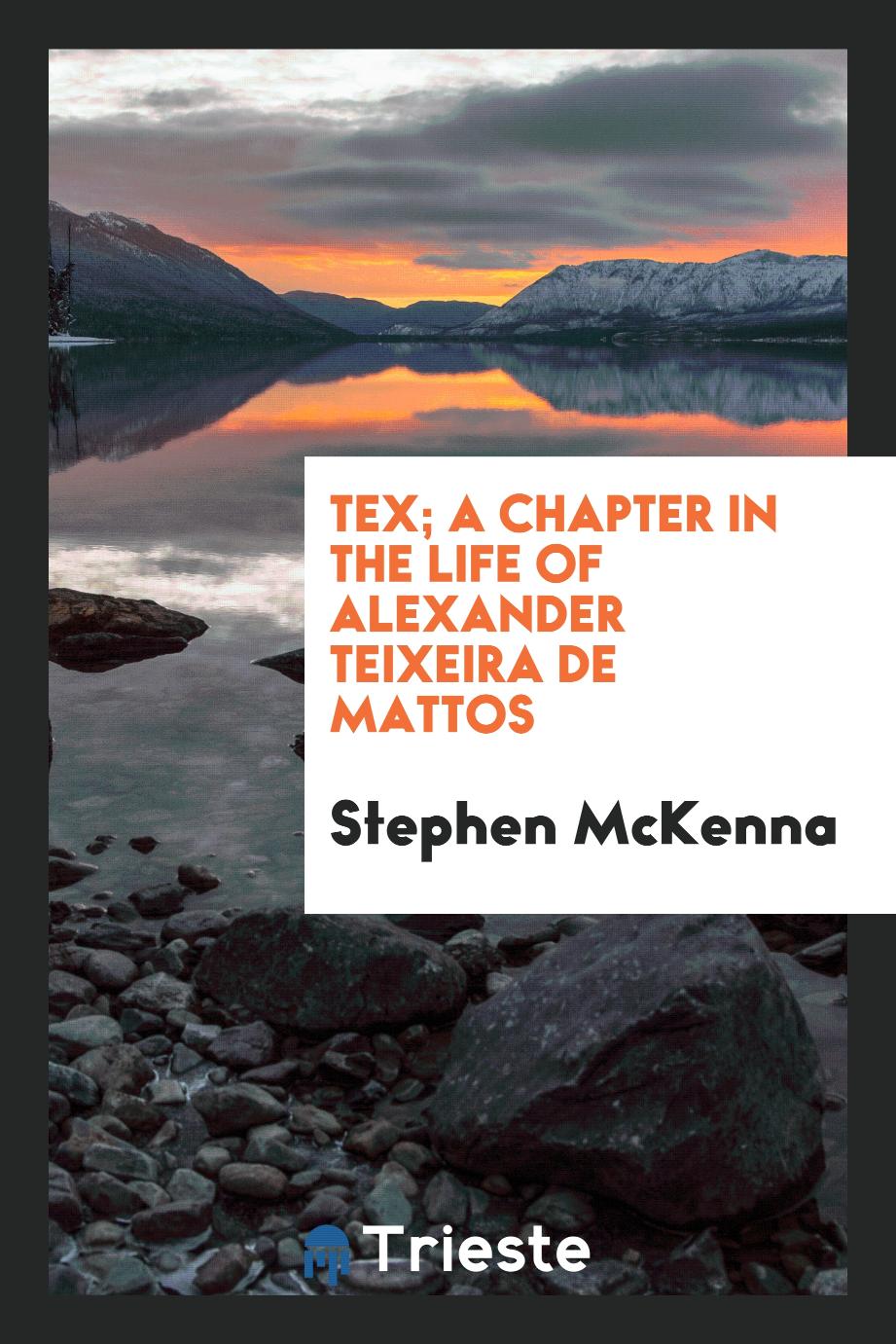 Tex; a chapter in the life of Alexander Teixeira de Mattos
