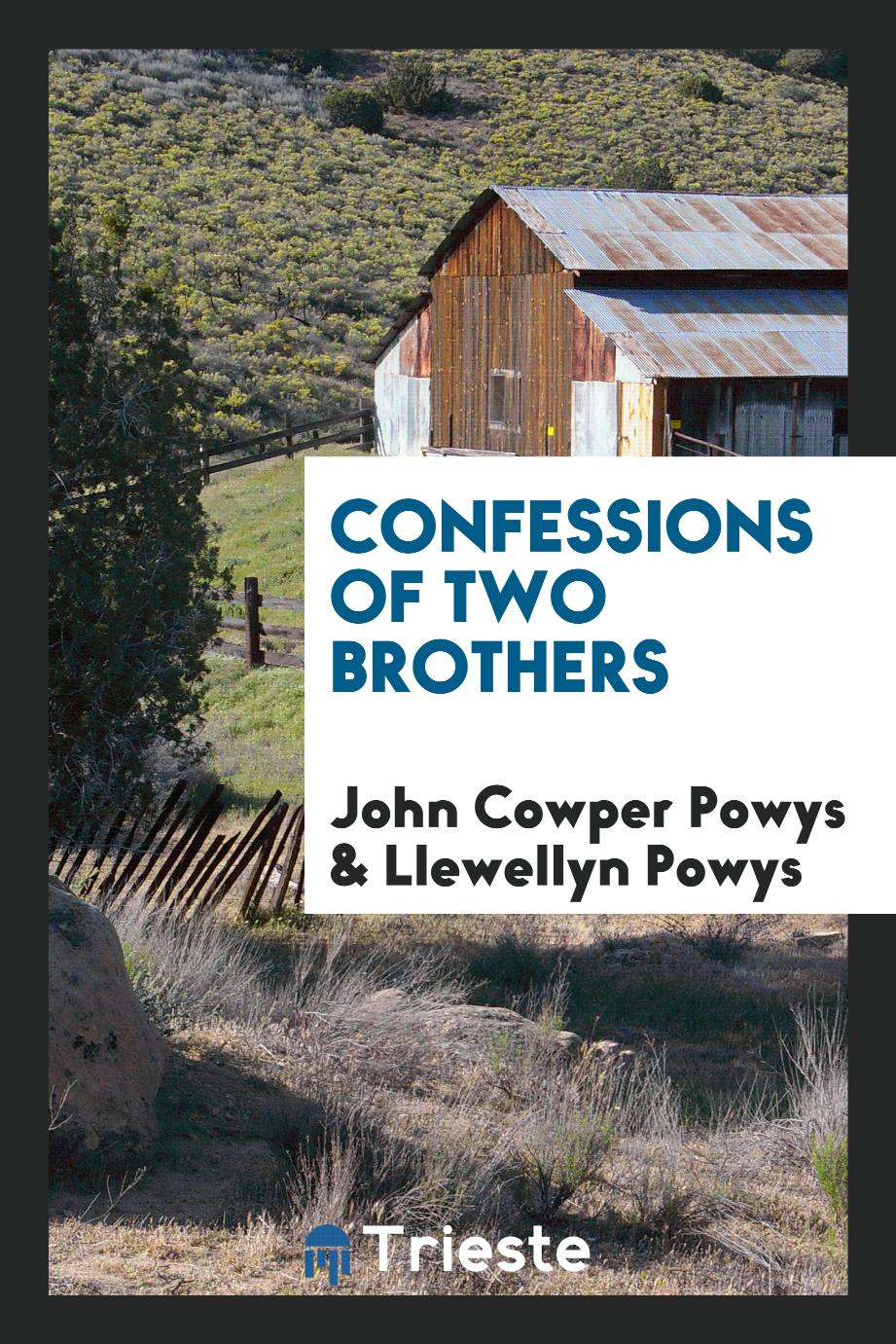 Confessions of two brothers